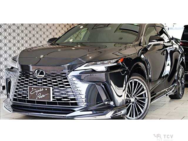 2024 Lexus RX