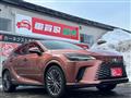 2024 Lexus RX