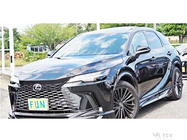 2024 Lexus RX