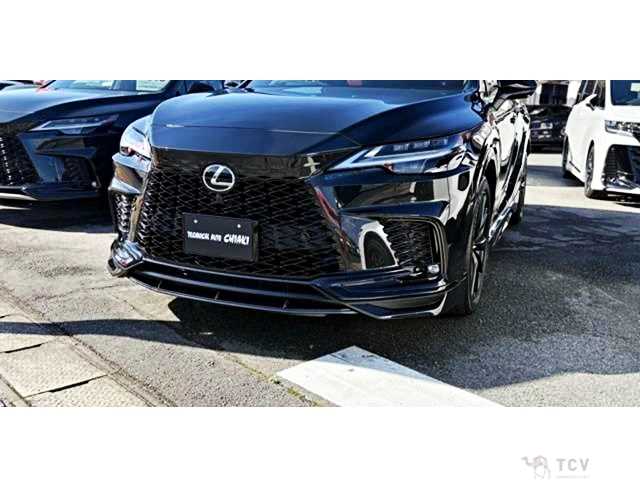 2024 Lexus RX