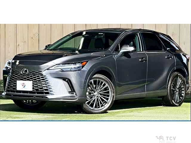 2023 Lexus RX