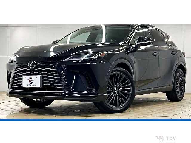 2023 Lexus RX