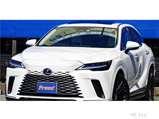 2023 Lexus RX