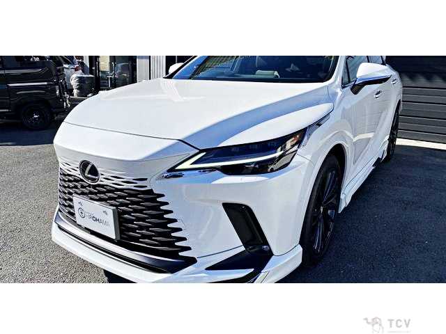 2023 Lexus RX