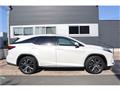 2021 Lexus RX