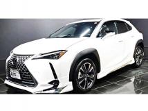 2025 Lexus Other