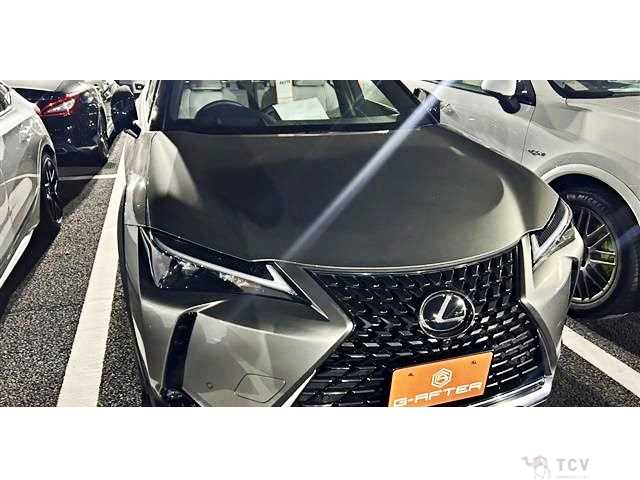2023 Lexus Other