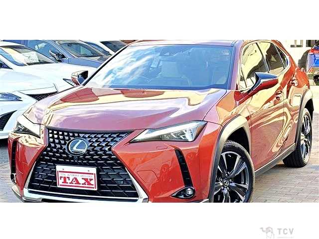 2023 Lexus Other