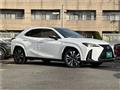 2023 Lexus Other