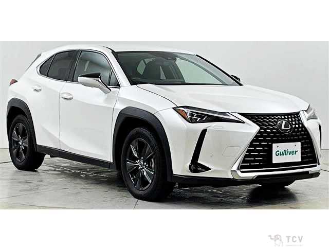 2023 Lexus Other