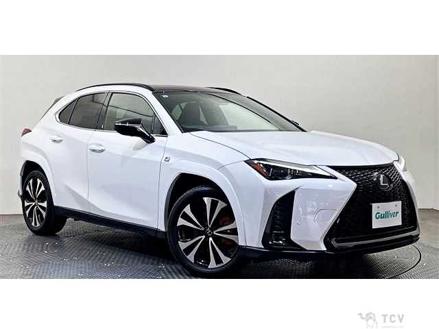 2023 Lexus Other