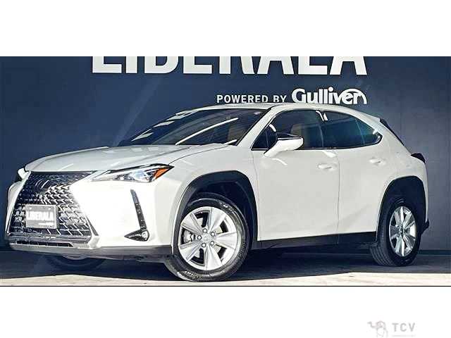 2023 Lexus Other