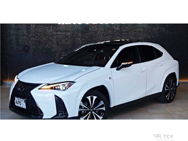 2023 Lexus Other