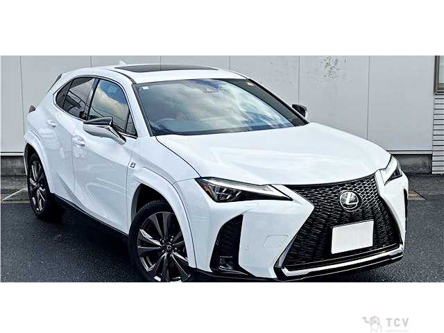 2023 Lexus Other