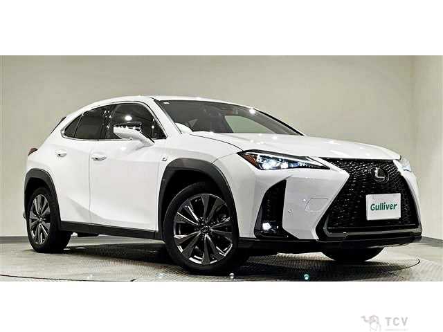 2023 Lexus Other