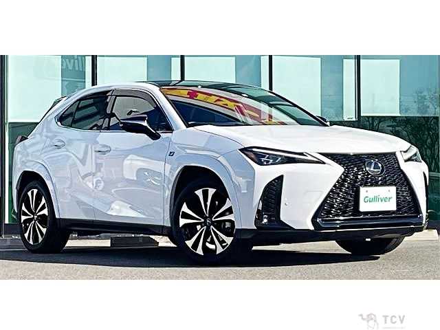 2023 Lexus Other