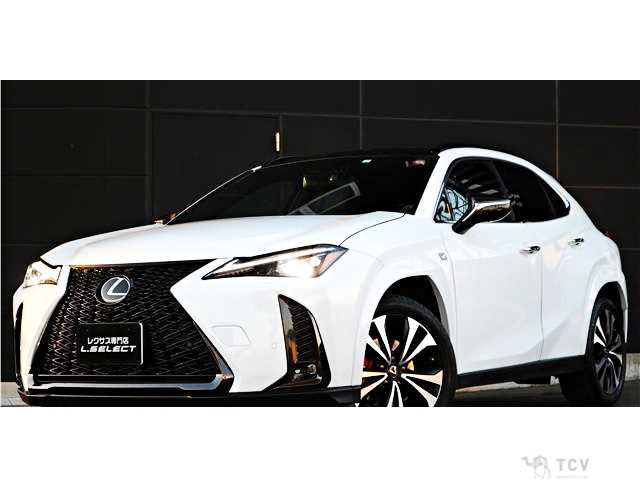 2023 Lexus Other