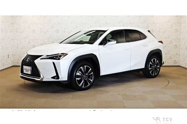 2023 Lexus Other