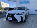 2022 Lexus Other