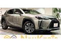 2021 Lexus Other