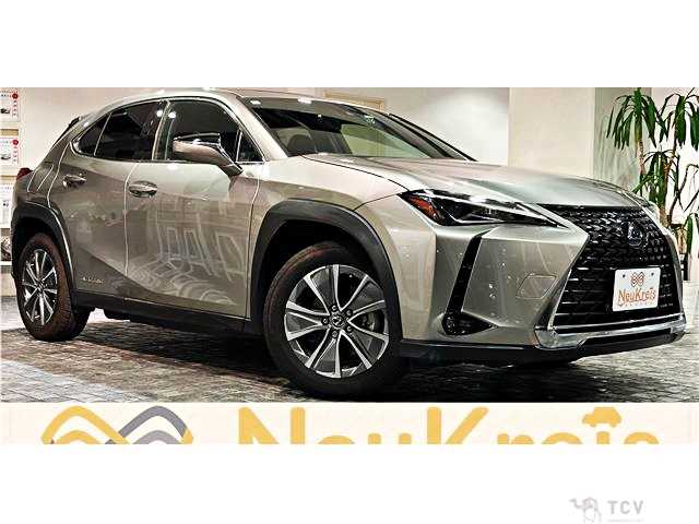 2021 Lexus Other