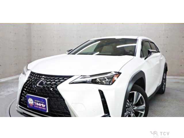 2021 Lexus Other