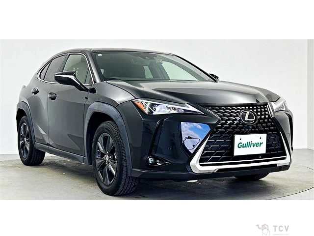 2021 Lexus Other