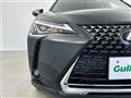 2021 Lexus Other