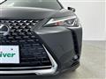 2021 Lexus Other