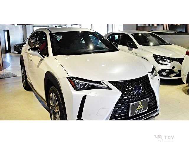 2021 Lexus Other
