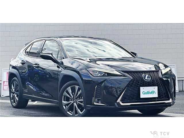2021 Lexus Other
