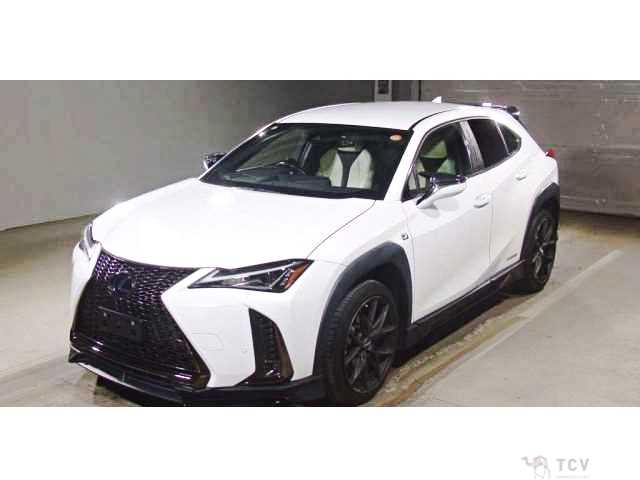 2021 Lexus Other