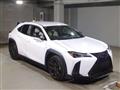2021 Lexus Other