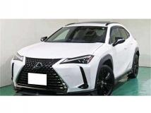 2021 Lexus Other