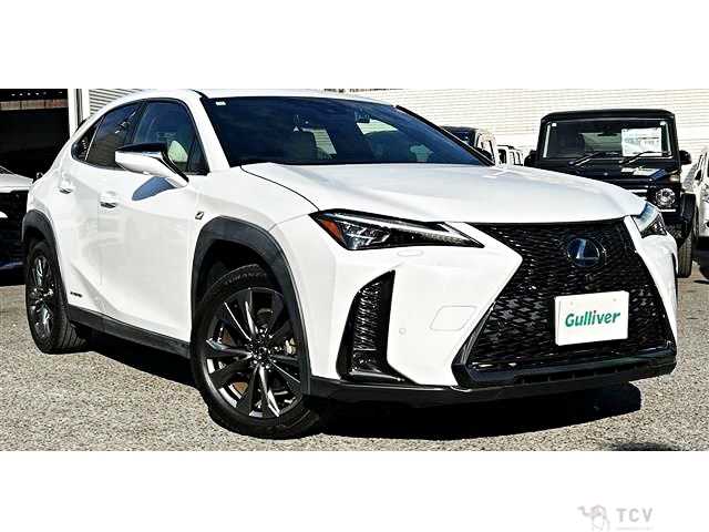 2021 Lexus Other