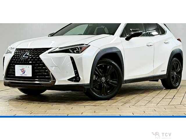 2021 Lexus Other