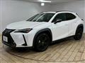 2021 Lexus Other