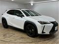 2021 Lexus Other