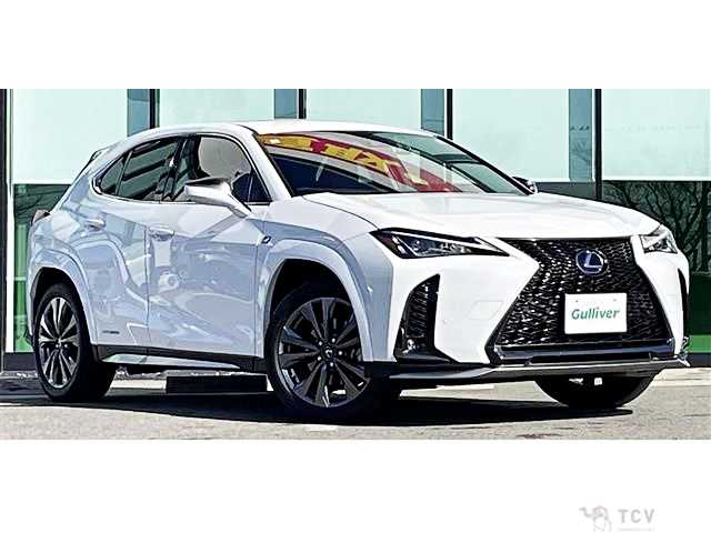 2021 Lexus Other