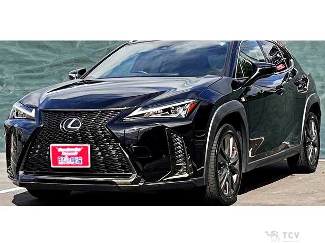 2021 Lexus Other