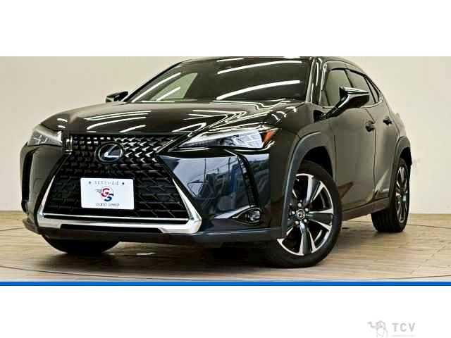 2021 Lexus Other