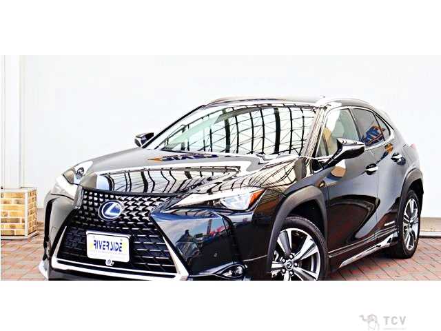 2021 Lexus Other