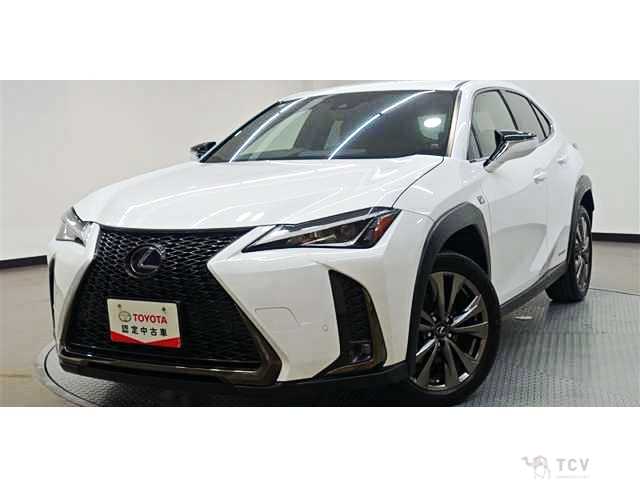 2021 Lexus Other