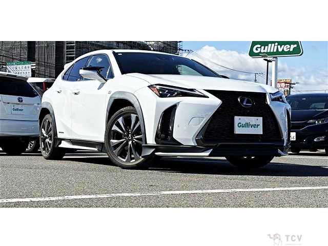2021 Lexus Other