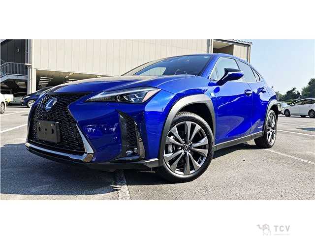 2020 Lexus Other