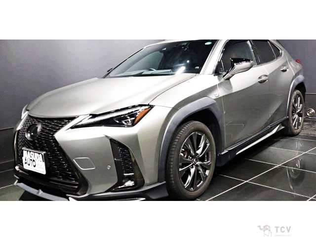 2020 Lexus Other