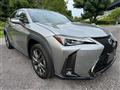 2020 Lexus Other