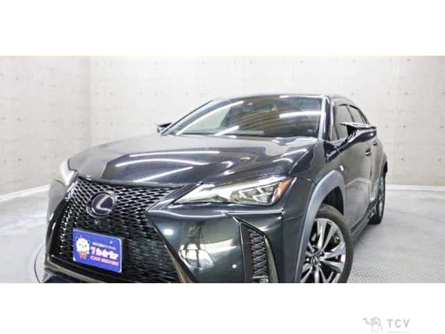 2020 Lexus Other