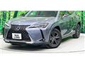 2019 Lexus Other