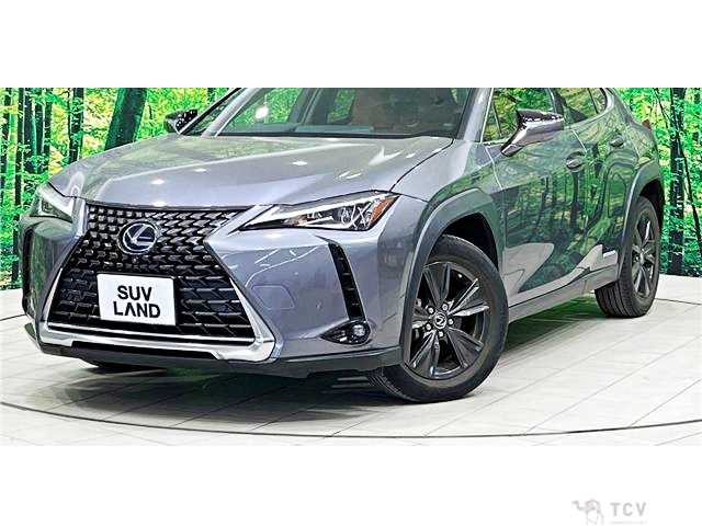 2019 Lexus Other